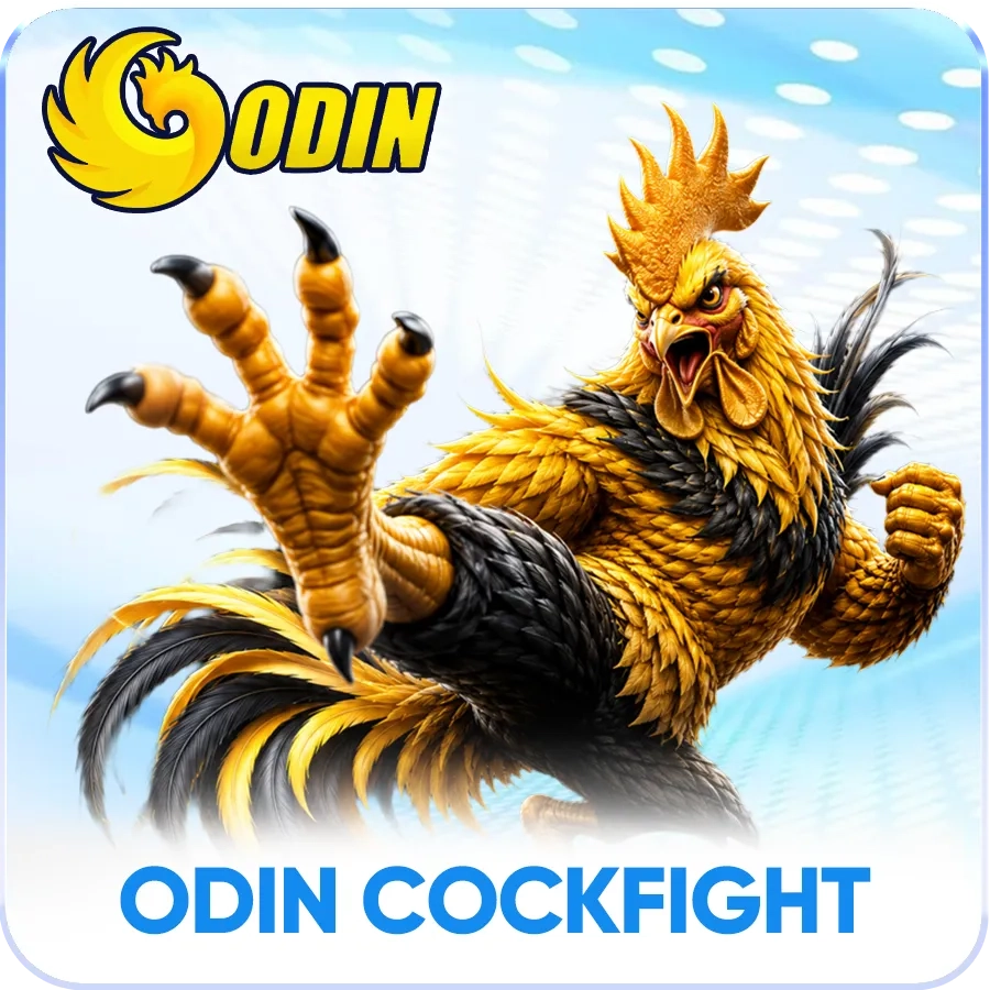 BNTC ODIN đá gà